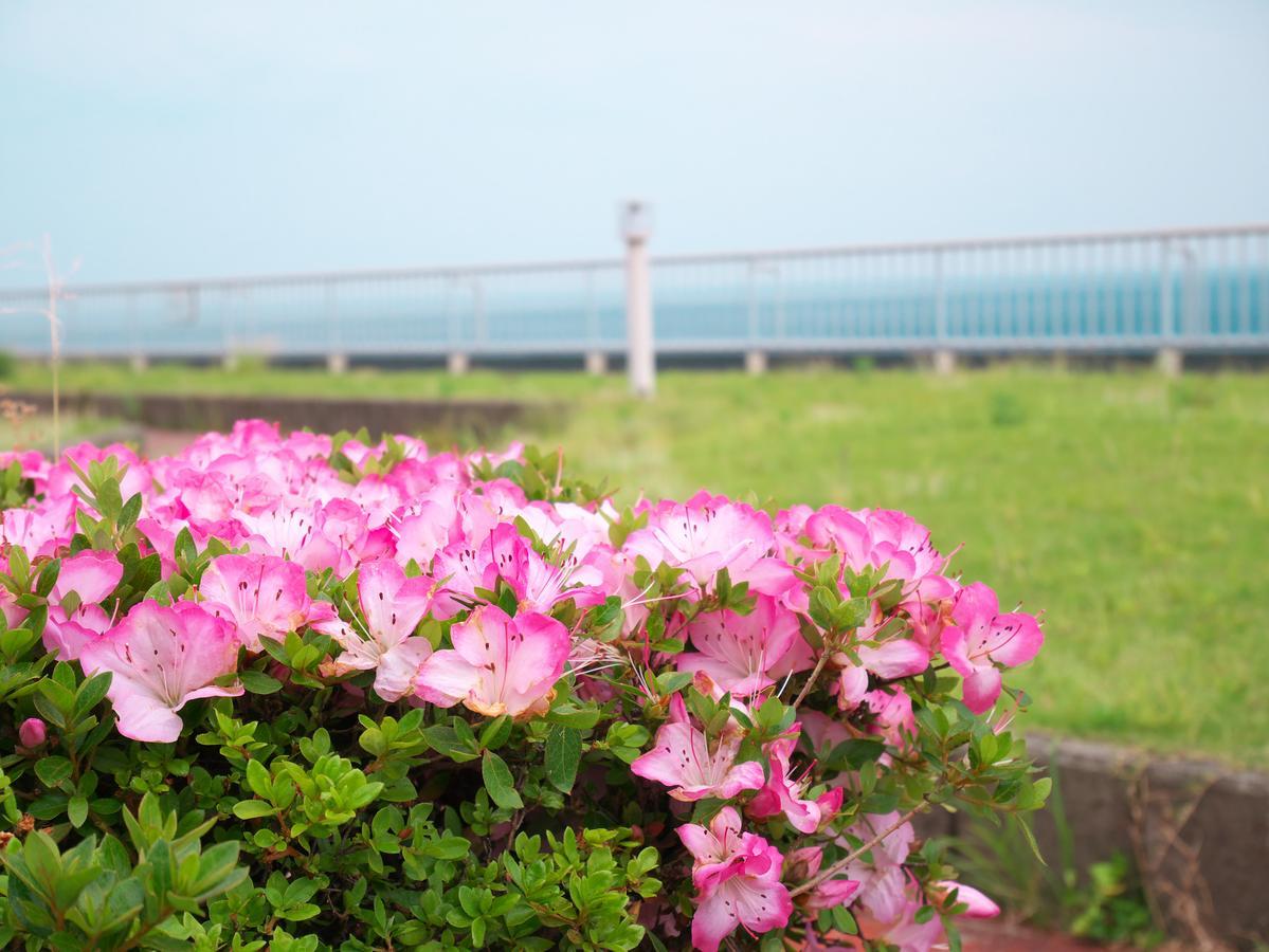 Hotel Wisterian Life Club Atami Atami  Esterno foto